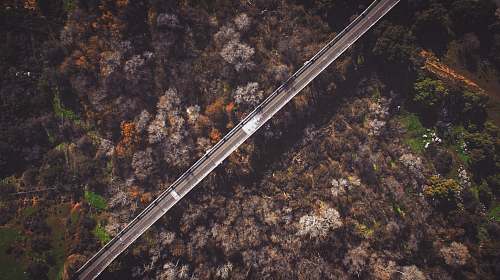 san luis rey bridge bird's eye view of empty bridge over trees california